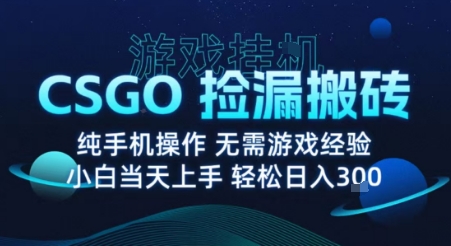 8月最新游戏搬砖，CSGO纯挂G，不需要玩游戏，实现真挂G，月入1W+【揭秘】 - 奉壹网创-奉壹网创