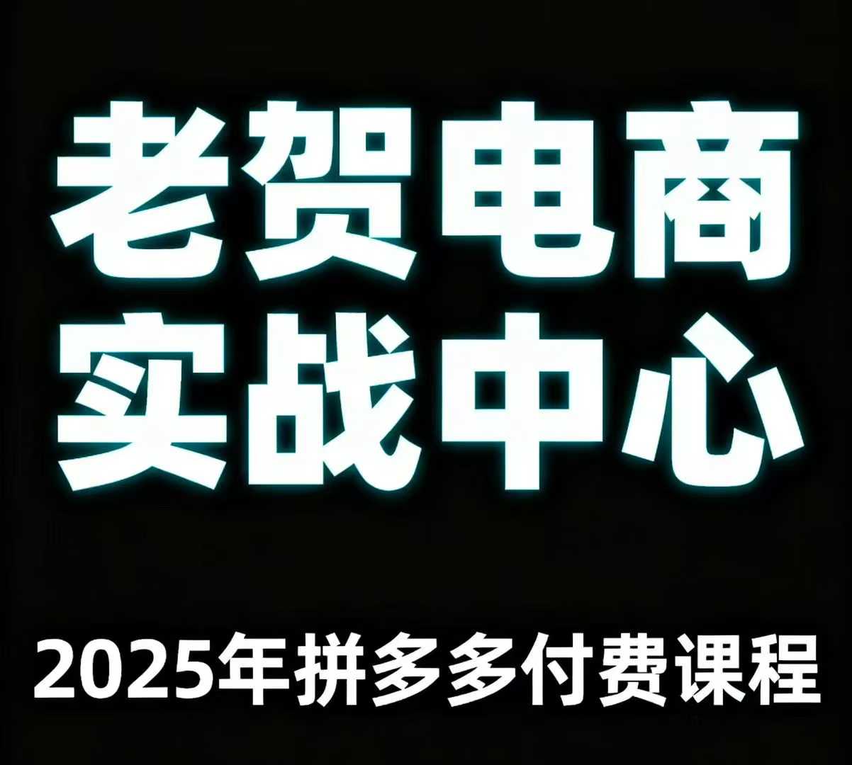 老贺电商2025年拼多多付费课程，用通俗易懂的方法告诉你多多怎么玩 - 奉壹网创-奉壹网创