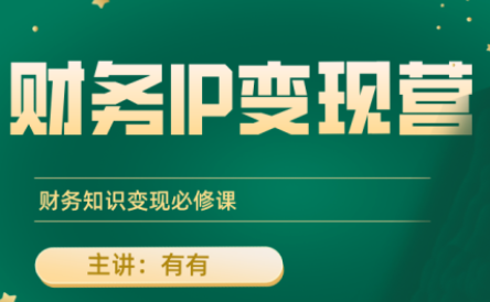 有有老师·财务IP变现营，财务知识变现必修课 - 奉壹网创-奉壹网创