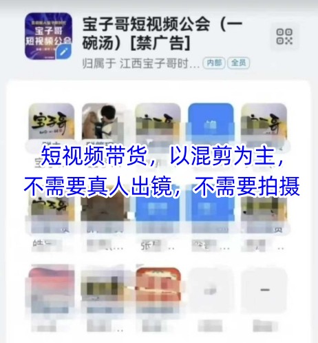 宝子哥头部团队短视频带货，以混剪为主，不需要真人出镜，不需要拍摄【更新8月】 - 奉壹网创-奉壹网创
