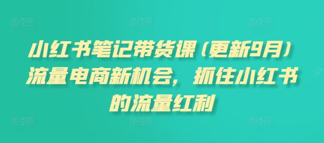 小红书笔记带货课(更新25年3月)流量电商新机会，抓住小红书的流量红利 - 奉壹网创-奉壹网创