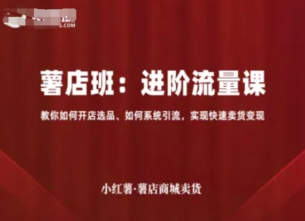 小红薯薯店商城卖货，进阶流量课，教你如何开店选品、如何系统引流，实现快速卖货变现 - 奉壹网创-奉壹网创