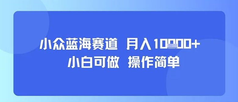 小众蓝海赛道，小白可做，操作简单，每天30分钟，月入1W+ - 奉壹网创-奉壹网创