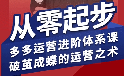 拼多多运营进阶系统课，从零起步，多多运营进阶体系课，破茧成蝶的运营之术 - 奉壹网创-奉壹网创