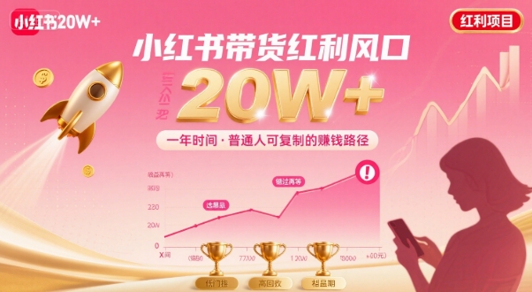 一年时间靠小红书带货项目年入20w+，最不能错的大红利项目 - 奉壹网创-奉壹网创
