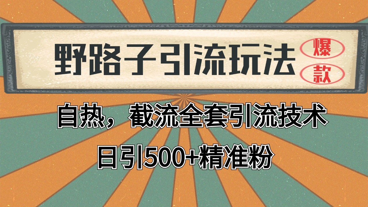 2024首发野路子引流玩法截流自热全平台打法，全自动引流【日引2000+精准客户】 - 奉壹网创-奉壹网创
