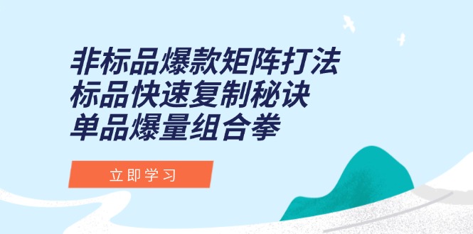 非标品爆款矩阵打法，标品快速复制秘诀，单品爆量组合拳 - 奉壹网创-奉壹网创