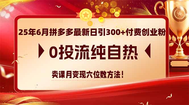 25年6月拼多多最新日引300+付费创业粉，0投流纯自热 卖课月变现六位数方法 - 奉壹网创-奉壹网创